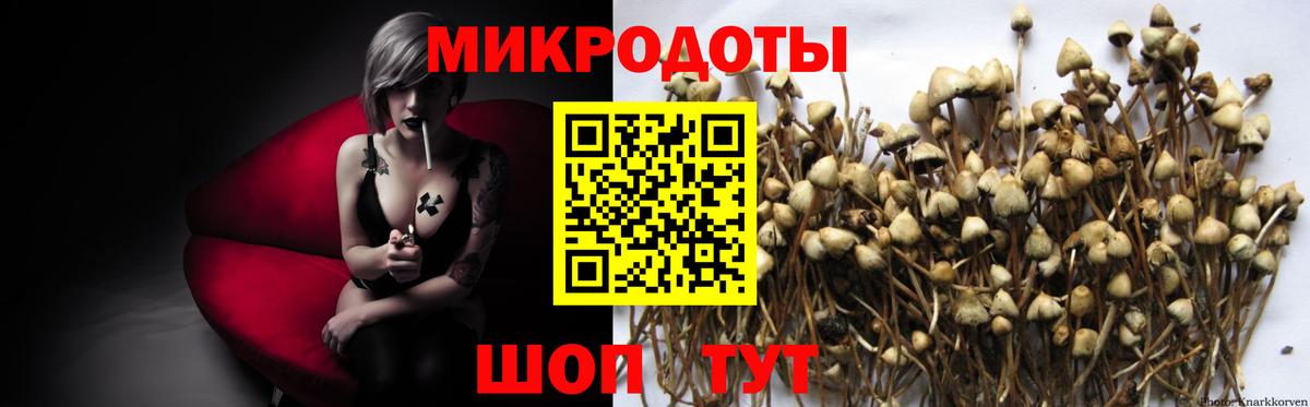 Галлюциногенные грибы MAGIC MUSHROOMS  купить закладку  Лениногорск  Вход с VPN 